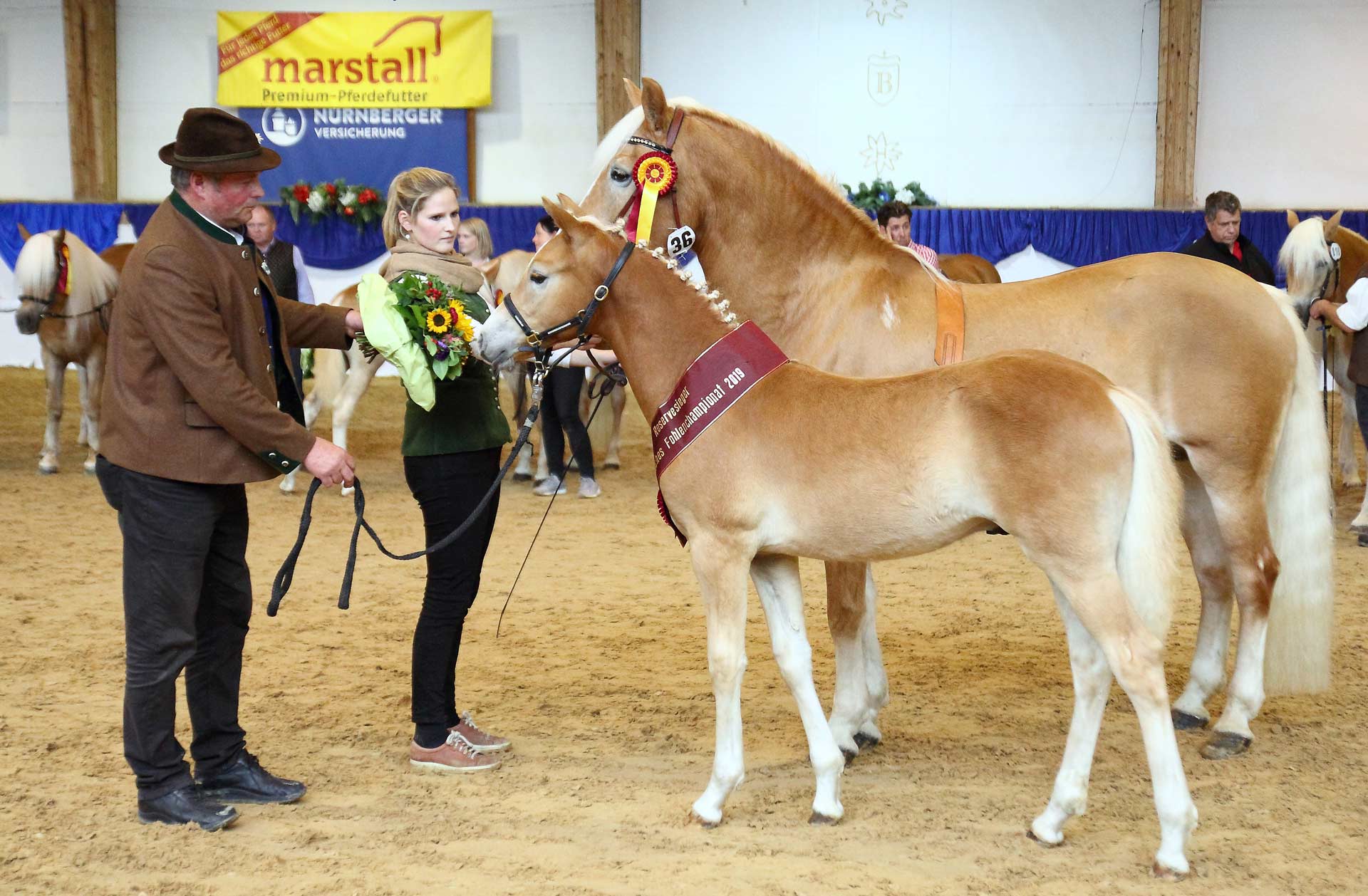 Sporterfolge Johannes Kappelsberger