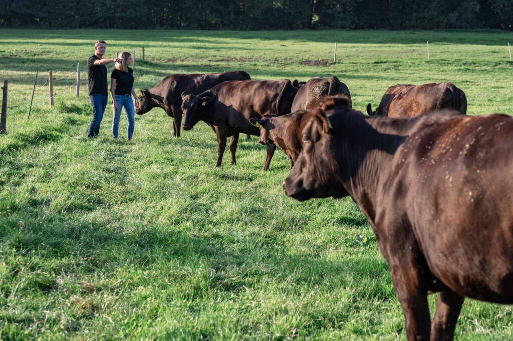 Wagyu Rinder, Johannes & Franzi